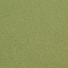 THINGOO JD-5121 Bamboo Moon Art Gilded Panel finish sample