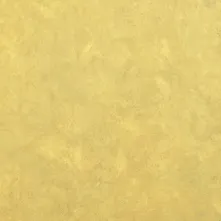 THINGOO TTX-2109 Iron Cast Art Gilded Panel finish sample
